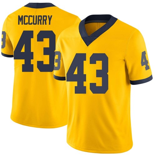 Jake McCurry Michigan Wolverines Youth NCAA #43 Maize Limited Brand Jordan College Stitched Football Jersey ANK3054YG
